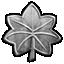 Lieutenant Colonel Lieutenant Colonel
