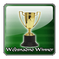 Websnadno Winner 2008