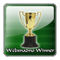 Websnadno Winner 2008 Websnadno Winner 2008